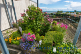 Dachterrasse 6.OG - Haus Berolina, 1 Zi. 27m² Appartement mit Schwimmbad im Haus, in 23747 Dahme Ostsee